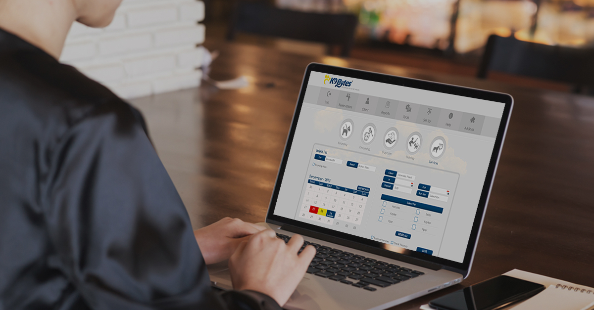 Ehhance Productivity with kennel Software Management