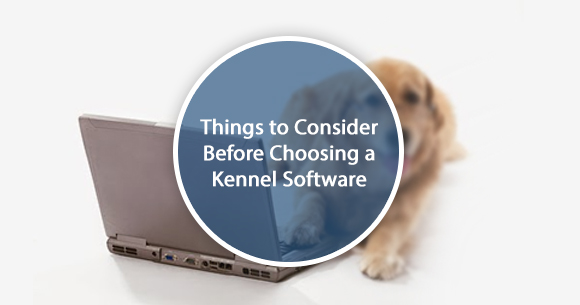 pet kennel software