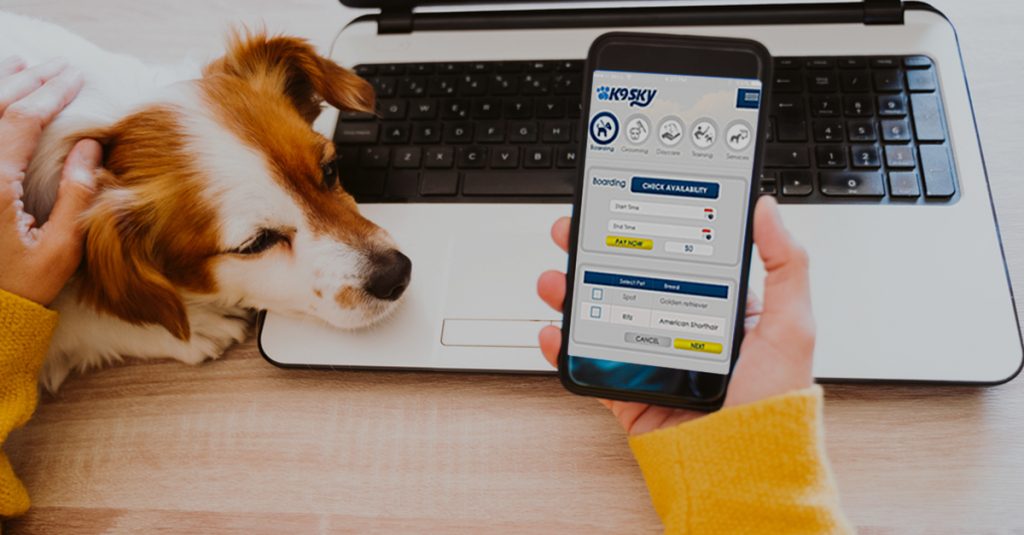 Grooming Software: A Vital Tool to a Successful Pet Grooming Business Startup