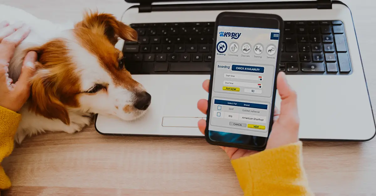 pet grooming business