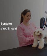 grooming software for pets