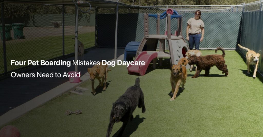 Four Pet Boarding Mistakes Dog Daycare Owners Need to Avoid