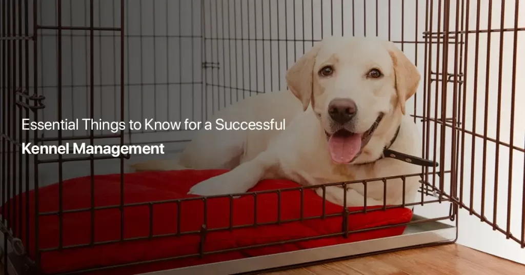 pet boarding software