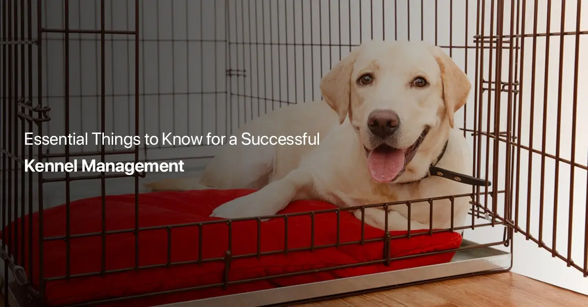 pet boarding software