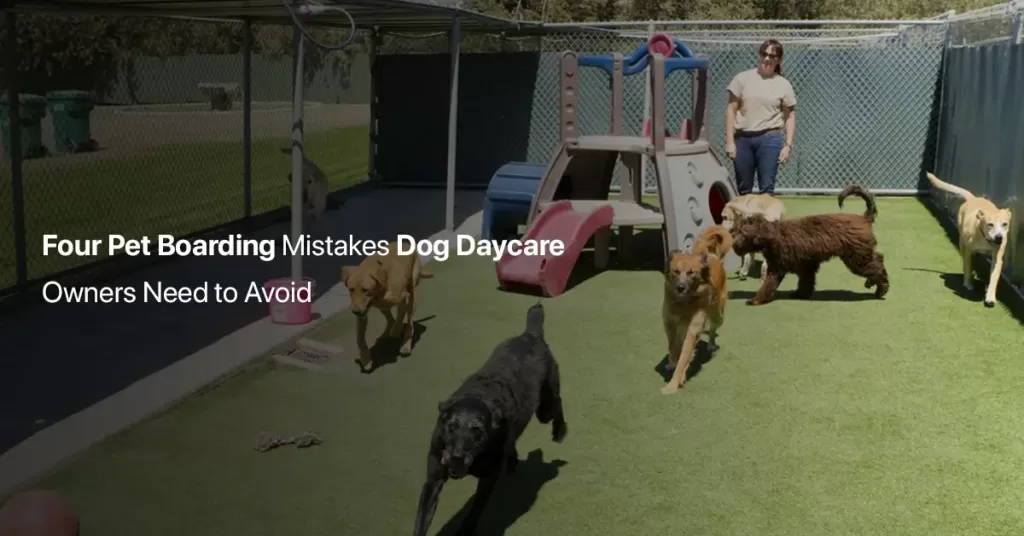 pet boarding software