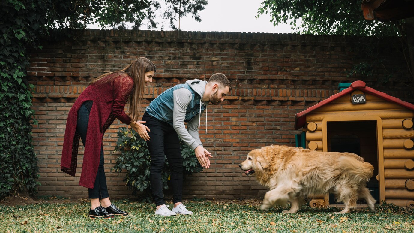 Boarding for Aggressive Dogs