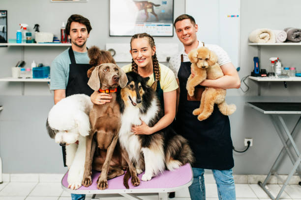 Top 5 Things to Know for a Successful Kennel Business