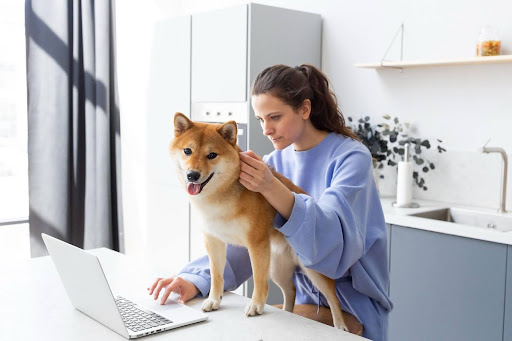 Why Join the Pet Care Industry
