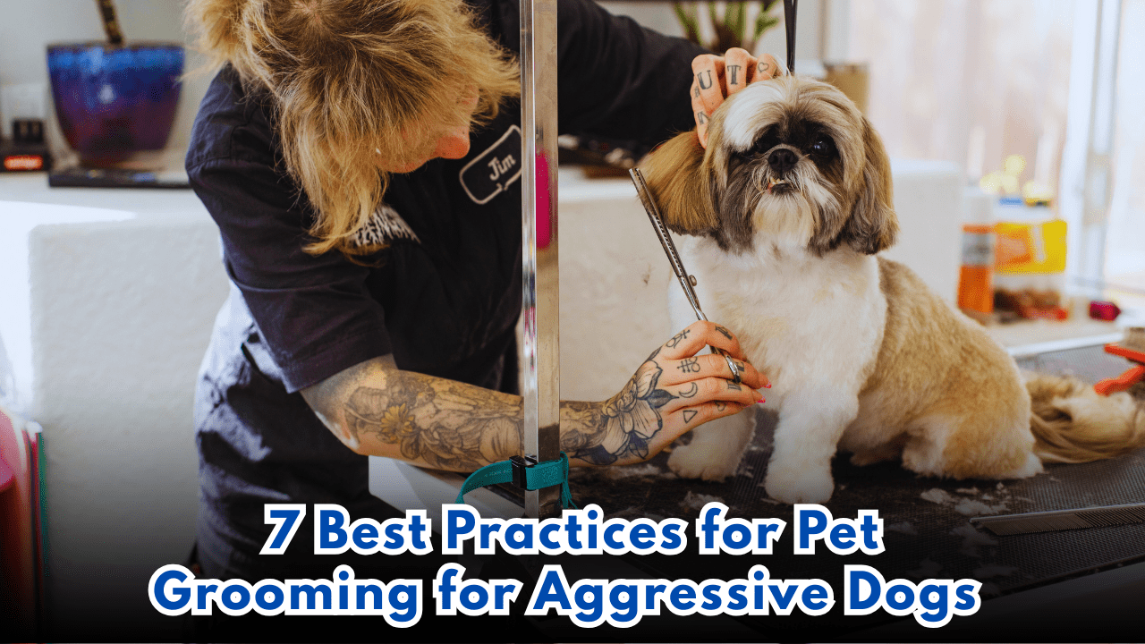 7 Best Practices for Pet Grooming for Aggressive Dogs
