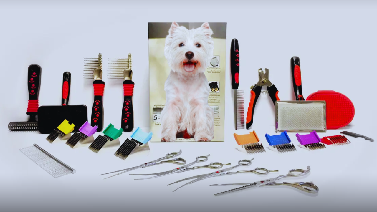 Dog Grooming Tools