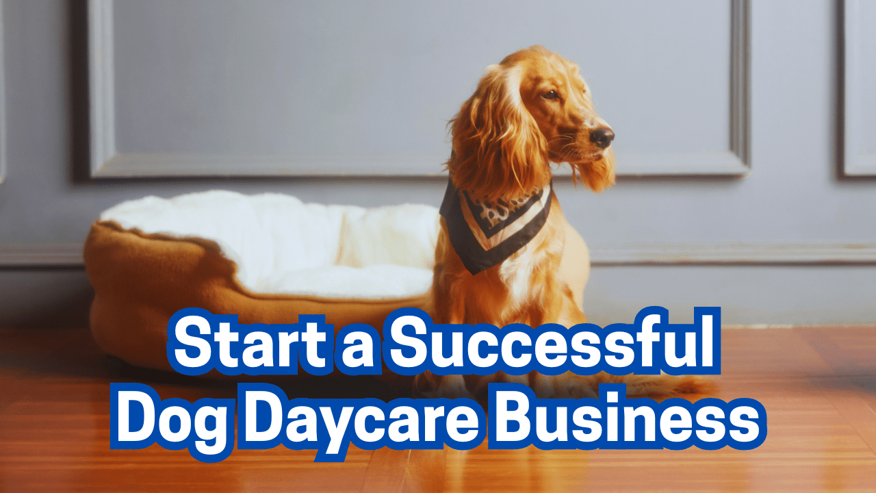 Start a Successful Dog Daycare Business