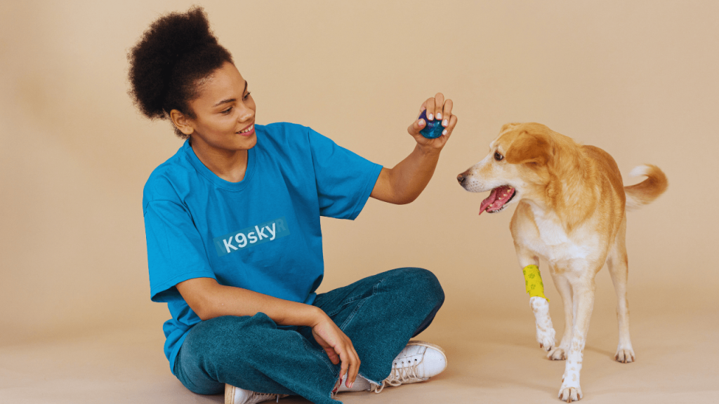 Dog Boarding for Reactive Dogs