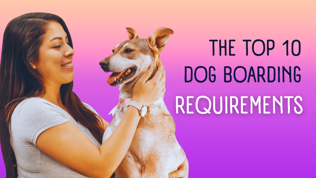 The Top 10 Dog boarding Requirements