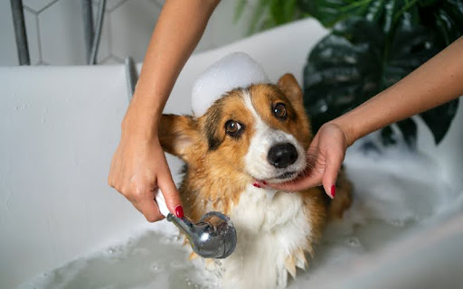 Bathing Basics