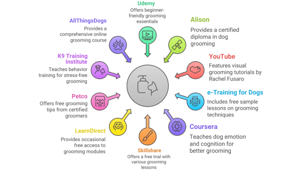 New Jersey Dog Training and Off-Leash Control - K9 Basics