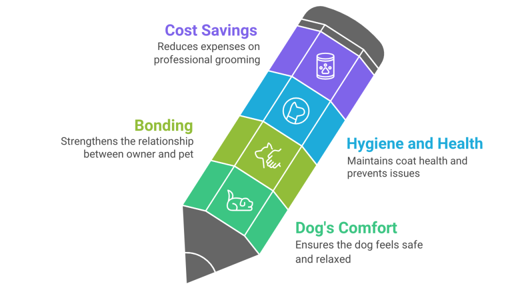 Why Learn Dog Grooming at Home