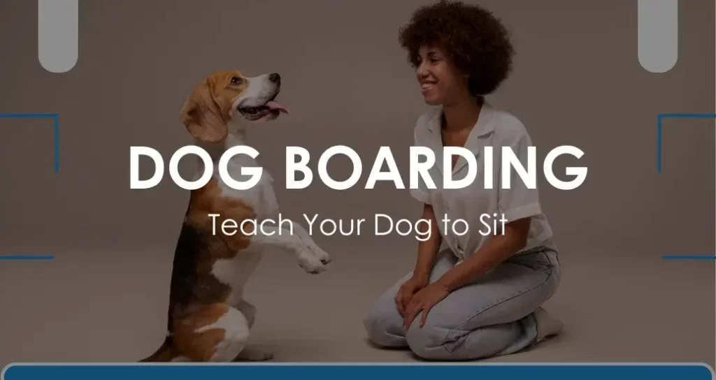 teach your dog to sit