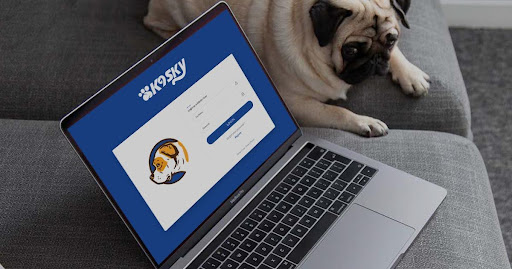 Technology is Helpful to a Kennel Business