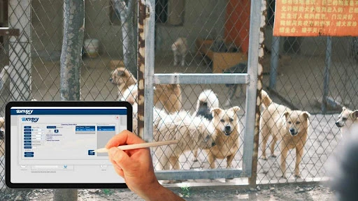 Pro Tips to Make Your Plan Stand Out