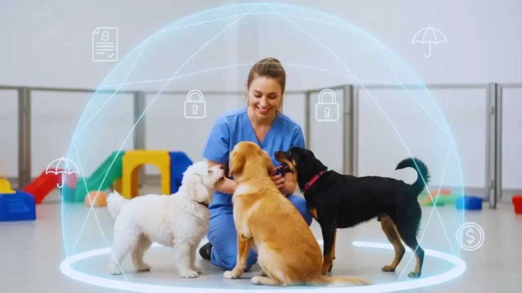 Best Pet Business Insurance