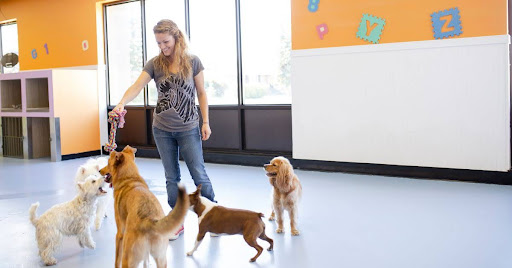 Things to Avoid During Staff Training