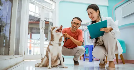 what is kennel experience