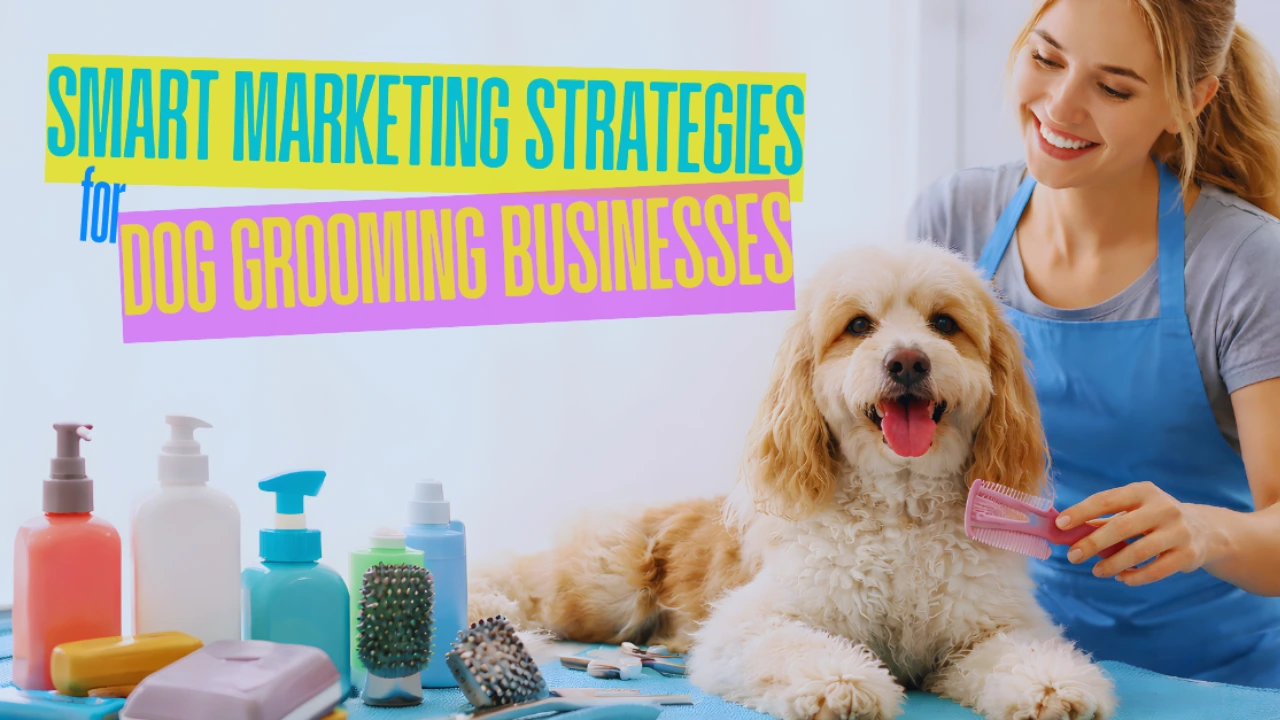 Smart Marketing Strategies for Dog Grooming Businesses
