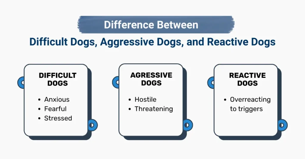 Difference Between Difficult Dogs, Aggressive Dogs, and Reactive Dogs