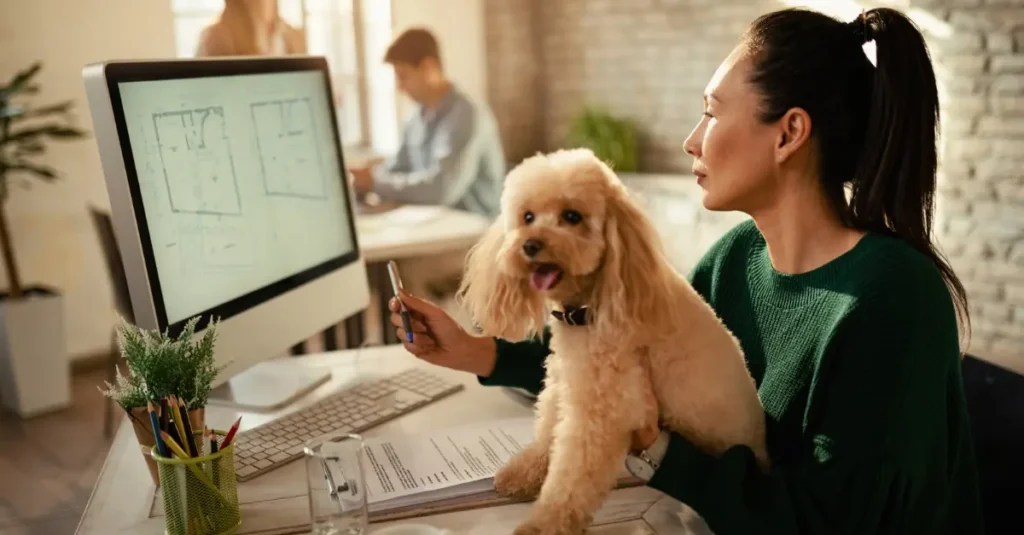 Doggy Daycare Startup Costs