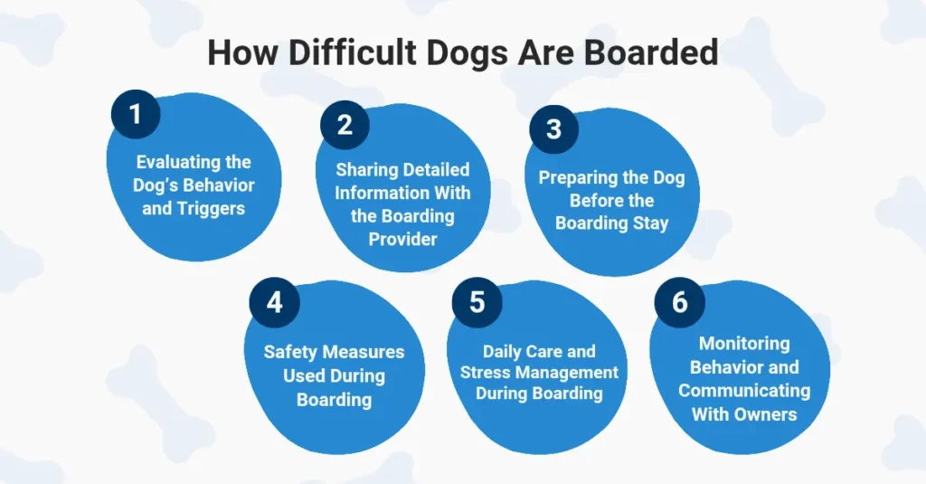 How Difficult Dogs Are Boarded
