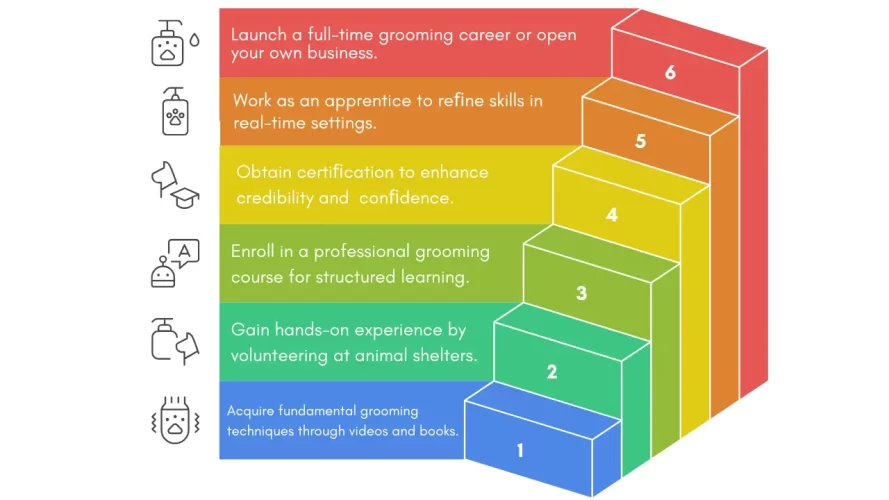 Step by Step guide to become a Professional groomer Step by Step guide to become a Professional groomer